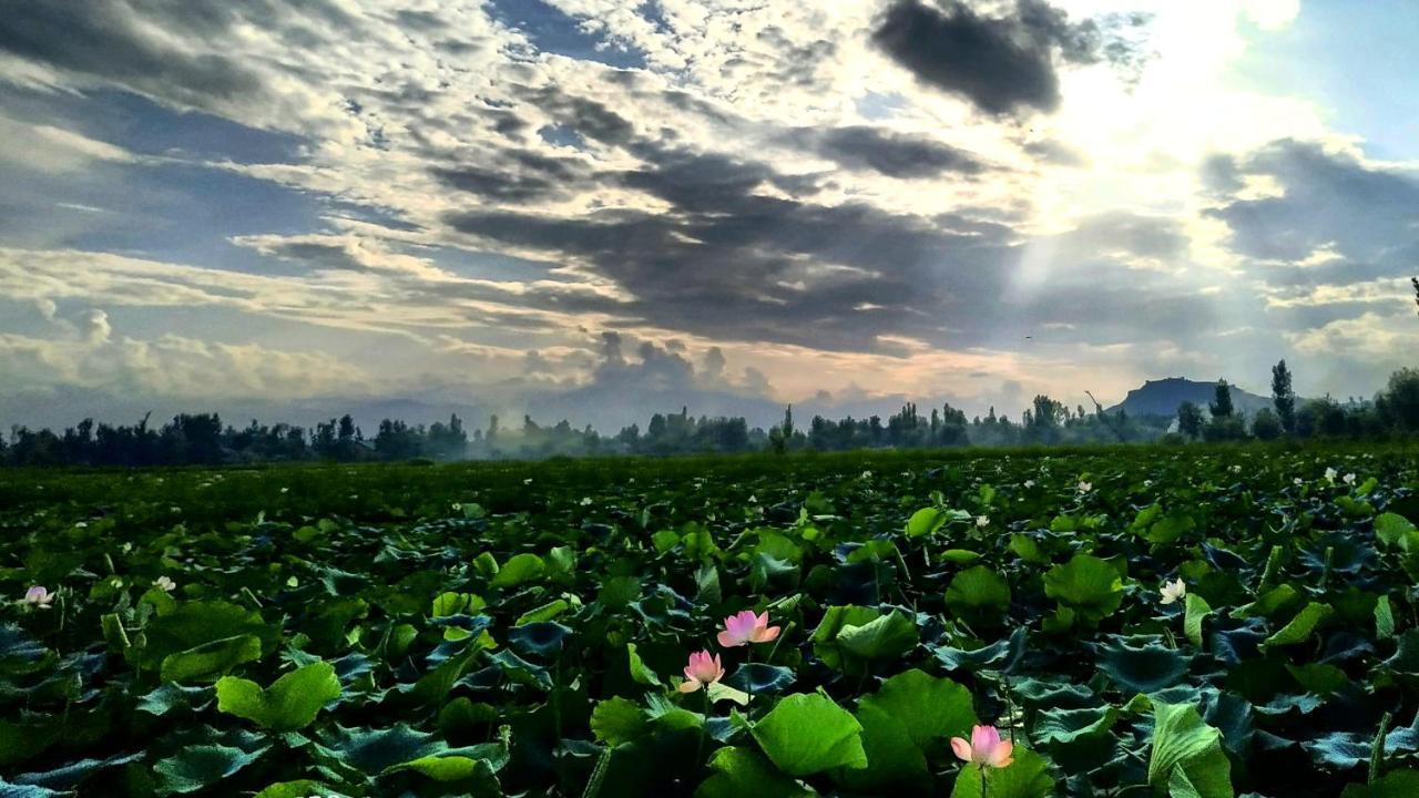 Green View Group Of Houseboats Srīnagar Esterno foto