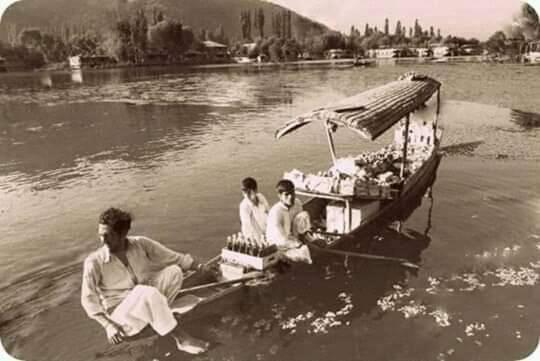 Green View Group Of Houseboats Srīnagar Esterno foto